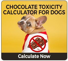 Chocolate toxicity calculator for dogs